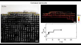 First real-time glimpse into the growth habits of nanoparticles