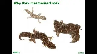 Dr. Varad Giri - Amphibians and Reptiles of India - Green Works Trust