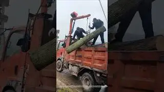 Simple device for lifting wood - good tools and machinery make work more efficient