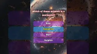 ONLY Legends can score a PERFECT 5/5 on this General Knowledge trivia. Can you?