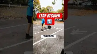 ULTIMATE LEAF BLOWER MIGHTY MAC BILLY GOAT  #england #garden #gardening #summer #shorts #latestnews