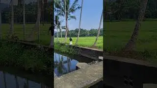 #nature#love#vishu#malayalam #date#april14#2025