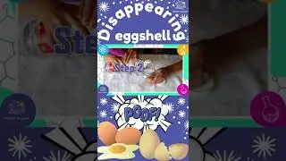 Disappearing Eggshell | Science Experiment #shorts