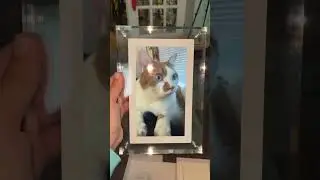 Unboxing my INFINITE OBJECTS