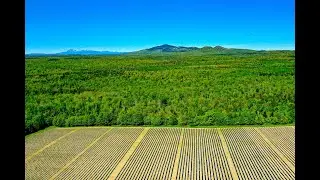 Future Farm Maine - Hersey June 2019
