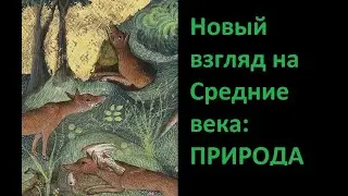 Природа и животные в Средневековом искусстве | KunstRoute