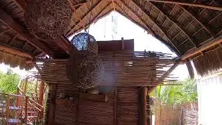 Hayhu - Costa Maya / Mahahual