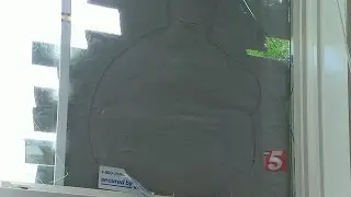 Sleeping Woman Hit By Pumpkin Thrown Through Window