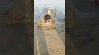 Beach Monster #beach #funtime #sandplay #jolly #asmr
