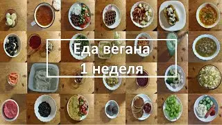 что я ем веган / июнь 2022 / вся моя еда за одну неделю