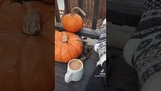 #fall #autumn #aesthetic #cottagecore #cozy #vibes #calm #peaceful #shorts #cosy #hygge #pumpkin