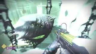 Destiny 2 - Throne World/Fynch Reputation Farm (Hunter - No Sparrow - Two Chests)