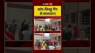 UP News:सांप बिच्छू गैंग से सावधान! Crime News| Gorakhpur | Police Action | Shorts
