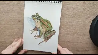 Sketchbook Tour #3 | Watercolor Animals & Learning In Person