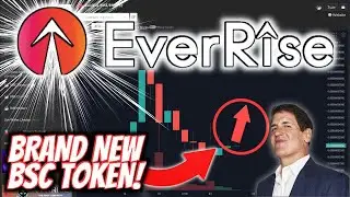 EVERRISE TOKEN Update , New BSC Coin ! How to Buy EVER RISE TOKEN , Tokenomics , Pricing & Analysis