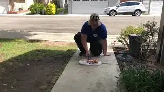 Cutting a Ham Bone with an Axe