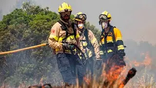 Thousands evacuated as wildfire burns across southern Spain