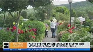 Shelburne Falls asks visitors to stop spreading ashes at Bridge of Flowers