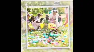 Make Life More Fun #party #celebration #birthdayparty #holiday