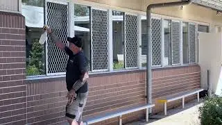 Need Complaint Glass Fast?