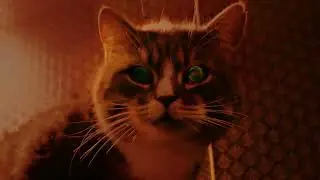 Ohimo - Red Moon Rose (music video)