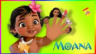 Moana finger family song | Daddy finger song Moana New Moana