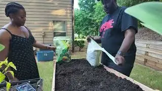 Setting Up a Garden Bed From Start to Finish! New Cedar Raised Bed