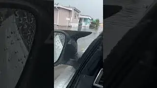Almost flooded my brand new BMW #miami #floods #flooded #bmw #automobile