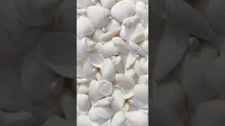 White Aesthetic Wallpapers #shorts #aesthetic #pinterest  #wallpaper #vibes