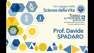 Prof. Davide Spadaro