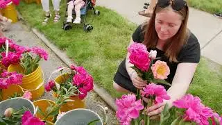 2021 Indiana Peony Festival Highlights (Shortened)