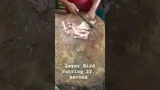 leyar bird cutting 22seconds. fastest cutting #meat #chicken #leyarbirds