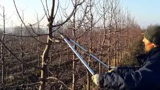 Pinova mm-106 3.5x1.5m. 5 year.#sad