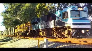 CBH120 & AC4306 on 1S56