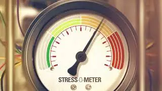 Stress & Anxiety FX