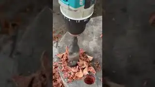 Makita xph 14 #shorts