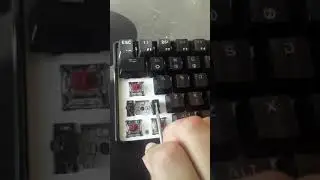 I fixed my broken keyboard by taking out the Stabilizers !? #shorts