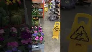 Home Depot store at Toronto (garden n indoor plants display)