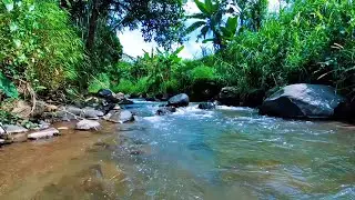 Mountain River Flow for Quiet Nights