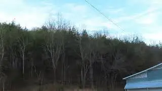 Верность США или нет &mdash; уважение к гражданам/военнослужащим США или нет.