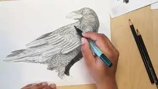 Faber Castell Graphite Aquarelle