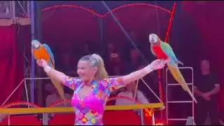 Papageienshow ￼ schweinfurter Weihnachtszirkus mit Hubert Fella ￼
