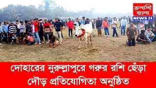 Cow rope pulling competition held in Nurullapur, Dohar | Rupali Bangla News24