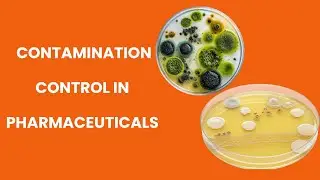 How to effectively control contamination in pharmaceutical industry?