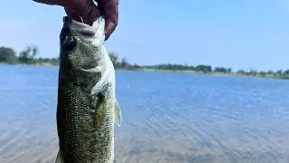 Fishing around Cook County for June Bass