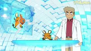 Dedenne attacks Professor Oak | Professor Oak Funny Moments
