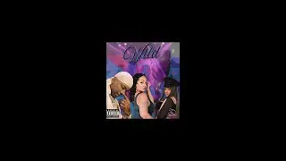BROOKLYN EMPIRE ENTS FLAWLESS DREAMS...''WILD