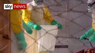 Coronavirus: Why do killer diseases come from animals?
