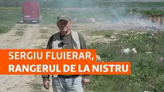 Rangerii de la Nistru