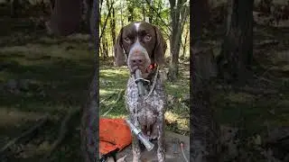 Duck Call Practice!